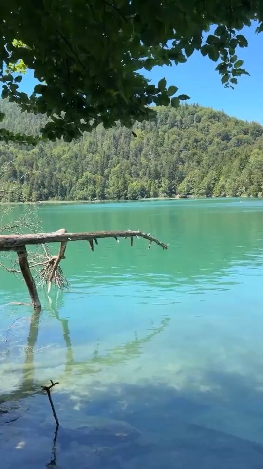 Manchmal ist der Weg das eigentliche Ziel. Zum Beispiel wenn du zum #Alatsee bei Füssen fährst. In einer guten Stunde bist du dort und fährst – je nach Route – am Forggensee und der Wieskirche vorbei. Am See erwarten dich klares Wasser und eine Liegewiese. Oder du spazierst den kleinen Rundweg entlang. Vom Alatsee geht es bergauf zum Aussichtspunkt #Zweiseenblick, wo auf der einen Seite der Alatsee im Wald schimmert und auf der anderen der Weißensee liegt. Dann hinunter ans Südufer: ein schmaler Pfad direkt am Wasser, durch ein natürliches Felsentor, über den Hugo-Ludwig-Steg, der in die Felswand gebaut ist.Trittsicherheit und feste Schuhe sind Voraussetzung für diesen wunderschönen Ausflug. Unsere Rezeption berät dich gerne zur schönsten Anreiseroute und weiß auch über aktuelle Witterungsverhältnisse oder Besonderheiten Bescheid. #AlpenhofMurnau #UrlaubinBayern #BlauesLand #Allgäu