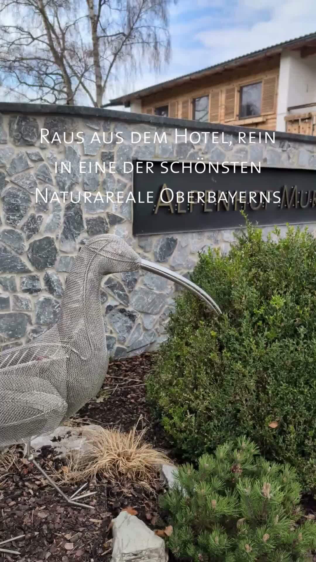 Das Murnauer Moos und das Voralpenland kann man natürlich problemlos auf eigene Faust erkunden. Ein noch schöneres und unvergesslicheres Erlebnis wird es aber, wenn man mit jemandem unterwegs ist, der sich wirklich richtig gut auskennt. In unserem Fall heißt dieser jemand Moni und verschafft dir auf unserem Moos Spaziergang ganz besondere Einblicke in eines der schönsten Naturareale Oberbayerns. Wunderschöne Natur, viel Wissen und allerlei charmante G’schichterln rund um diese bemerkenswerte Landschaft und ihre Entstehung inklusive. #Alpenhofmurnau #Blauesland #UrlaubinBayern #MurnauerMoos #Naturerleben
